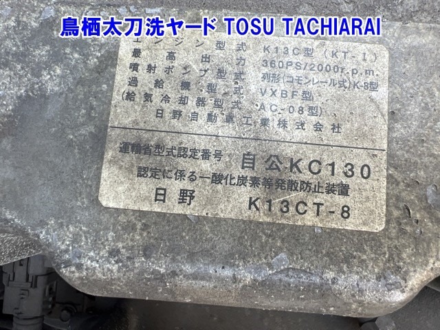 Hino SUPER DOLPHIN 1999 8534194-21