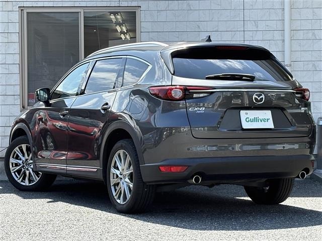 Mazda CX-8 2018 8560989-13