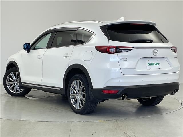 Mazda CX-8 2022 8560991-13