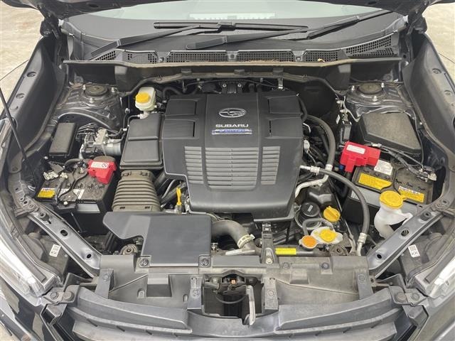 Subaru FORESTER 2022 8558618-14