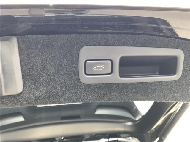 Toyota HARRIER 2019 8566049-19