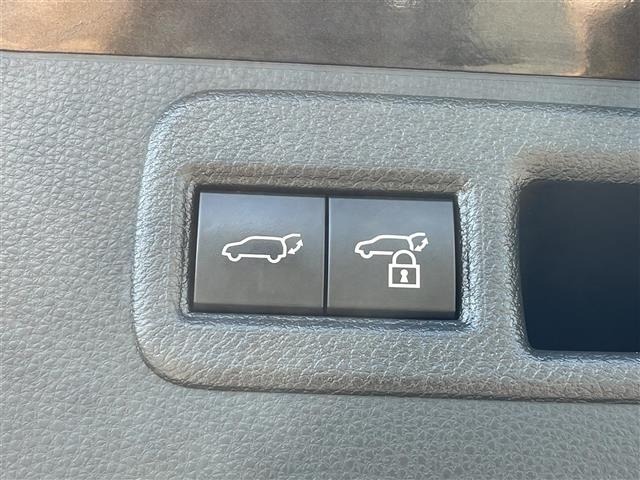 Toyota HARRIER 2024 8566269-19