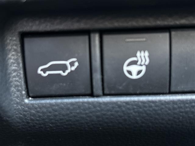 Toyota HARRIER 2024 8566293-8
