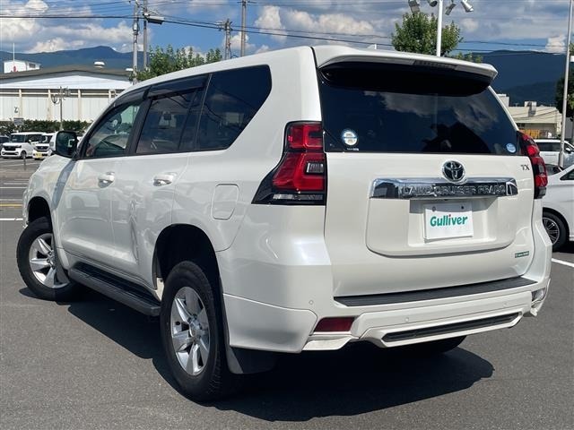 Toyota LAND CRUISER PRADO 2019 8565494-13