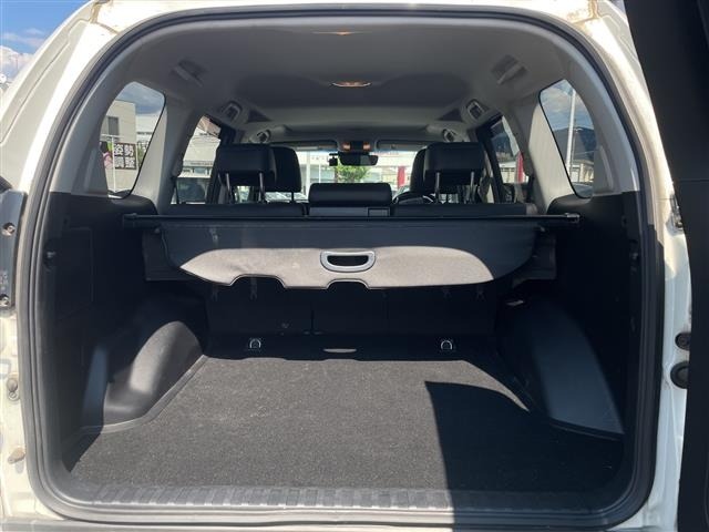 Toyota LAND CRUISER PRADO 2019 8565494-20