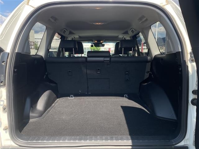 Toyota LAND CRUISER PRADO 2019 8565494-22