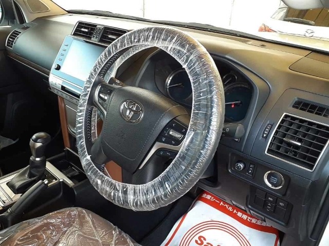 Toyota LAND CRUISER PRADO 2021 8565696-9
