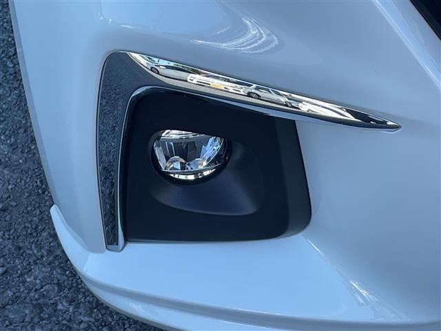Suzuki SOLIO 2021 8539827-11