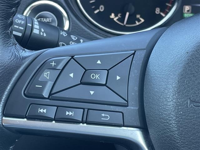 Nissan X-TRAIL 2019 8557532-22