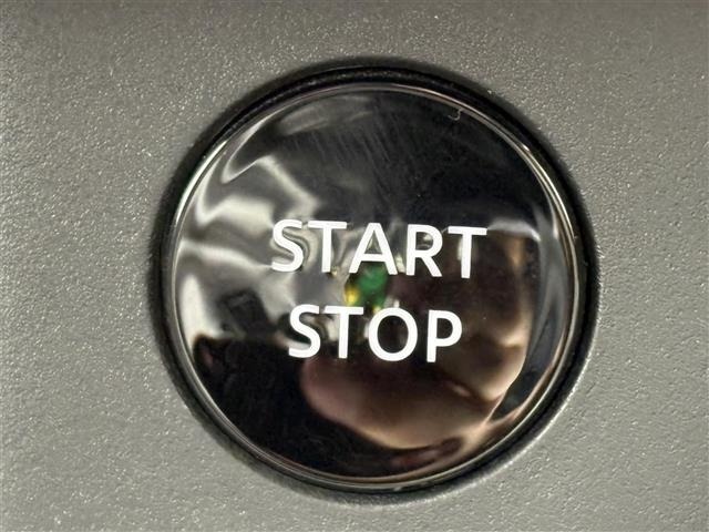 Nissan X-TRAIL 2025 8557609-12