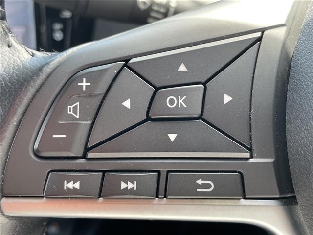 Nissan X-TRAIL 2021 8557791-19