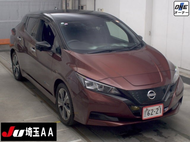 Nissan LEAF 2021 8583561-0