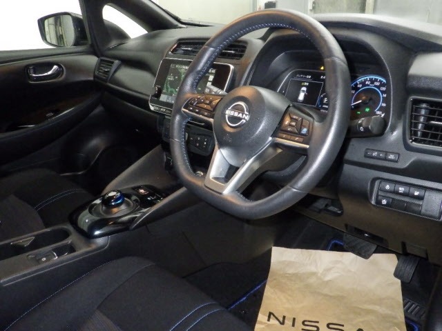 Nissan LEAF 2021 8583561-3