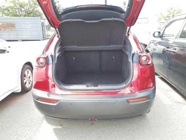 Mazda MX-30 2020 8574830-11