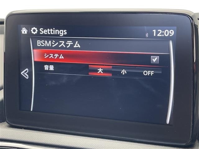 Mazda ROADSTER 2021 8568316-19
