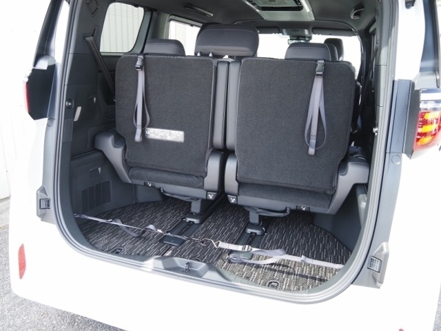Toyota ALPHARD 2026 8596381-19