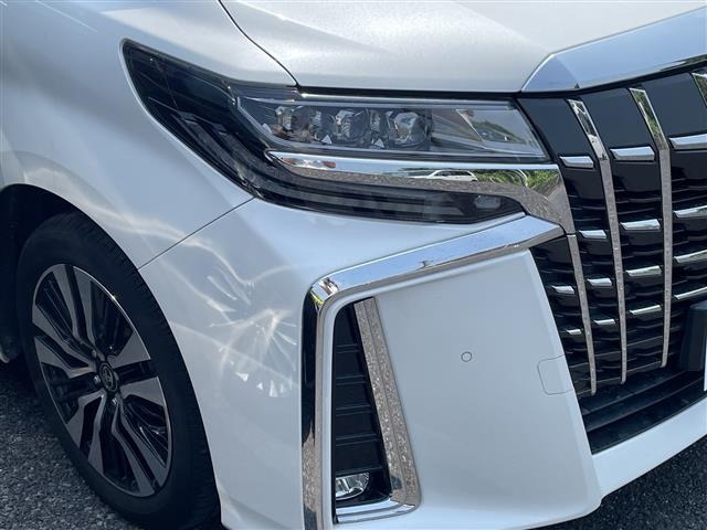 Toyota ALPHARD 2021 8597325-21