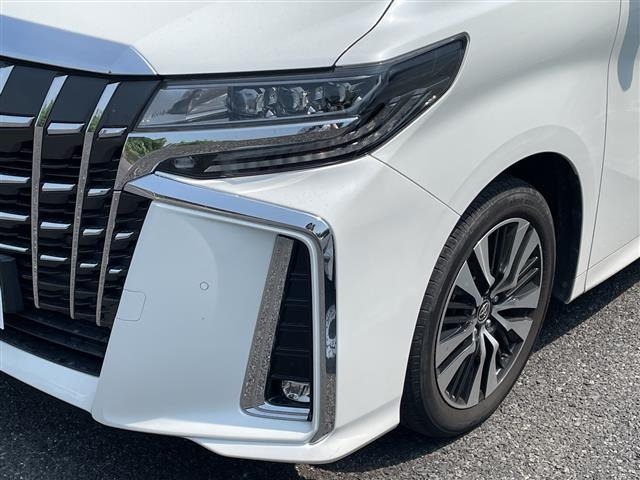 Toyota ALPHARD 2021 8597325-5