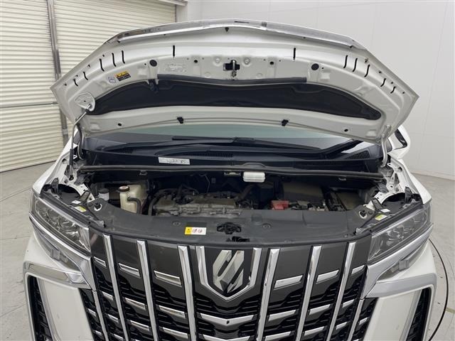 Toyota ALPHARD 2020 8597663-14