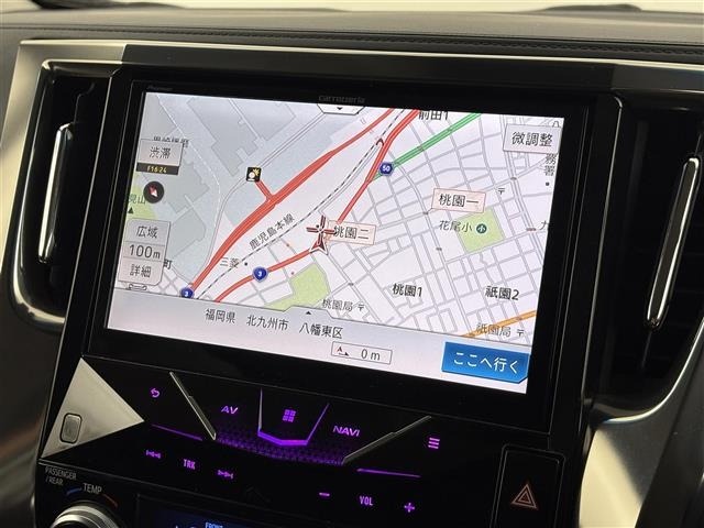 Toyota ALPHARD 2019 8597784-16