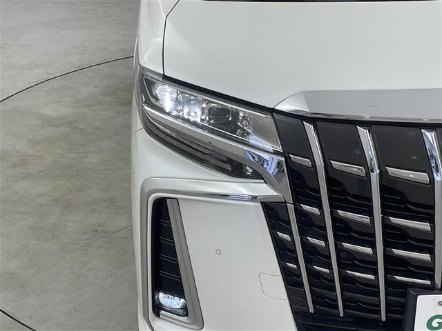 Toyota ALPHARD 2019 8597784-20