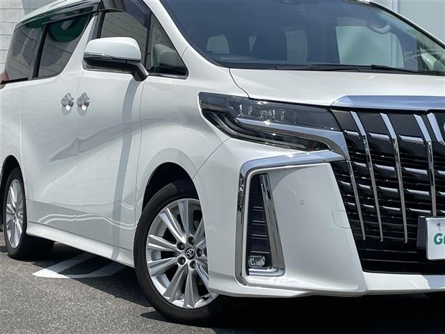 Toyota ALPHARD 2019 8597786-21