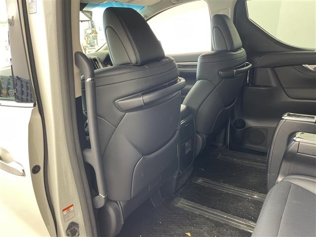Toyota ALPHARD 2019 8597806-11