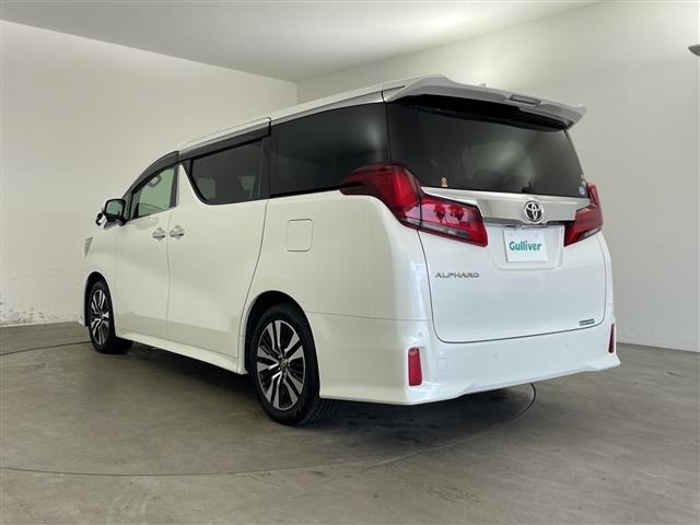 Toyota ALPHARD 2019 8597806-13