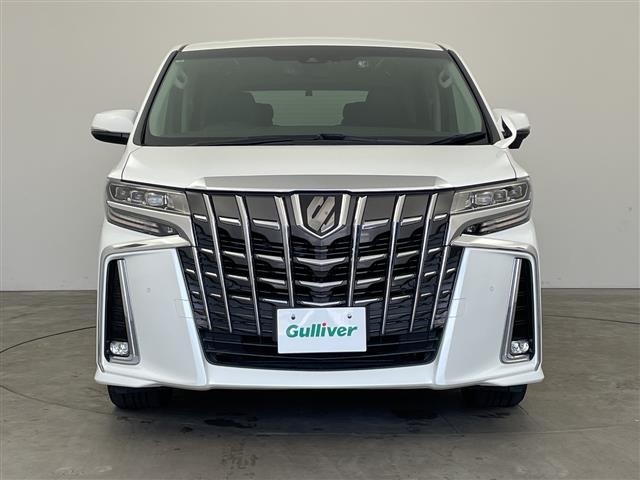 Toyota ALPHARD 2019 8597806-17