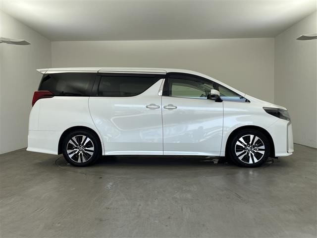 Toyota ALPHARD 2019 8597806-19