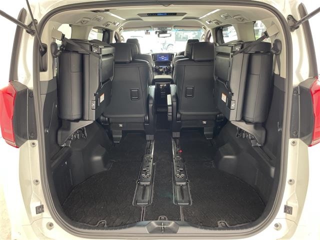 Toyota ALPHARD 2019 8597806-22