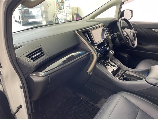 Toyota ALPHARD 2019 8597806-9