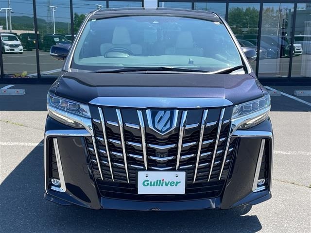 Toyota ALPHARD 2020 8597809-15