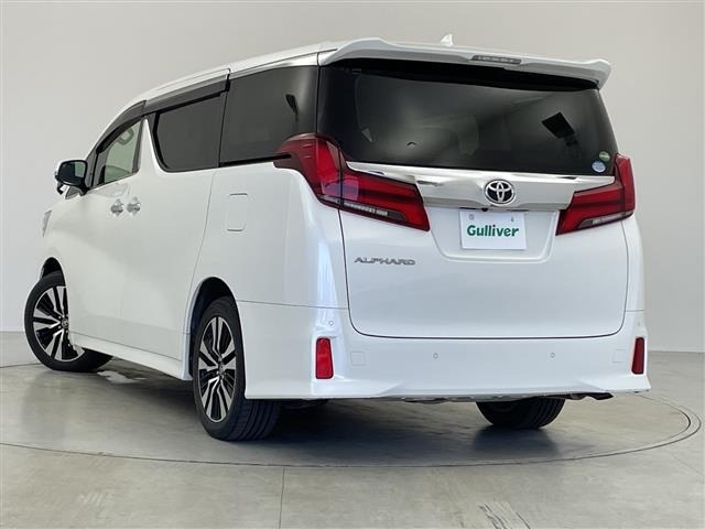 Toyota ALPHARD 2019 8597823-13
