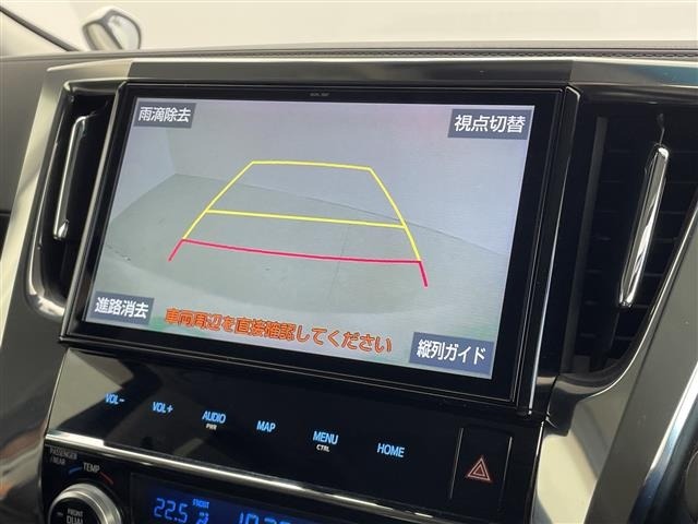 Toyota ALPHARD 2019 8597823-19
