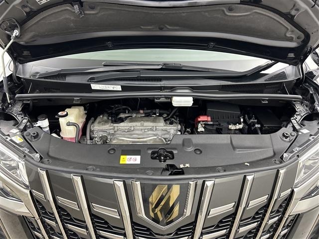 Toyota ALPHARD 2020 8597825-14