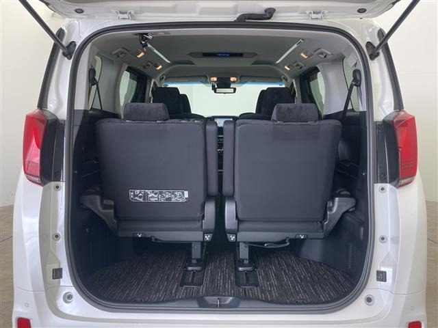 Toyota ALPHARD 2019 8597826-12