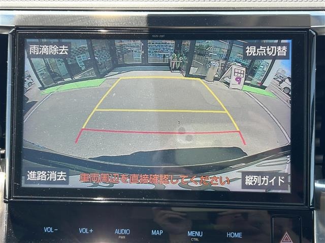 Toyota ALPHARD 2019 8597829-18