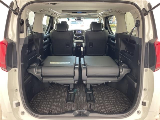 Toyota ALPHARD 2020 8597839-22