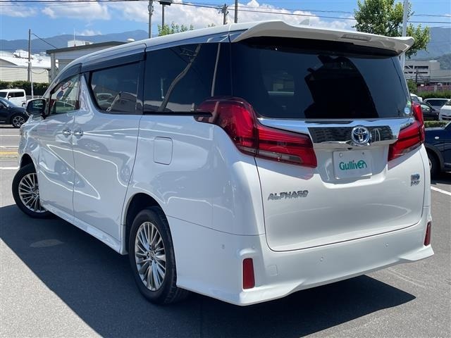 Toyota ALPHARD 2019 8597875-13