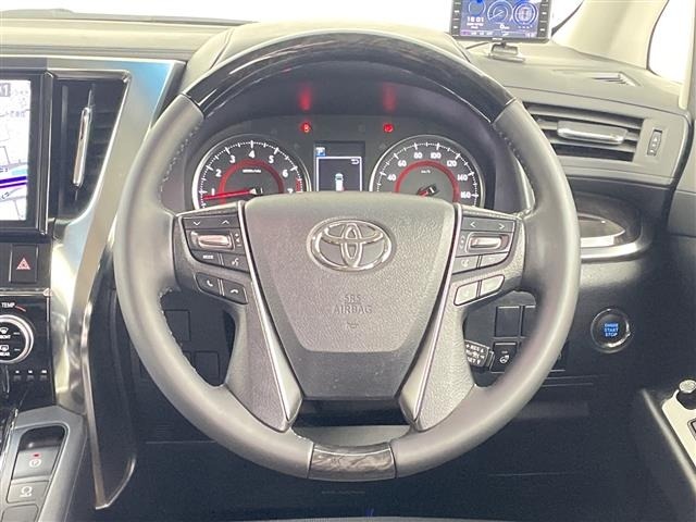 Toyota ALPHARD 2019 8597882-19