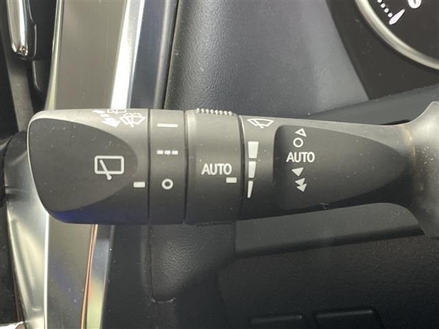 Toyota ALPHARD 2019 8597882-3