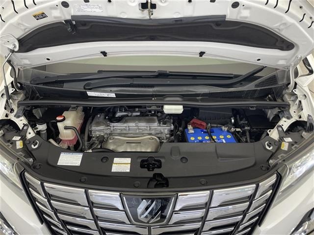 Toyota ALPHARD 2016 8597896-14