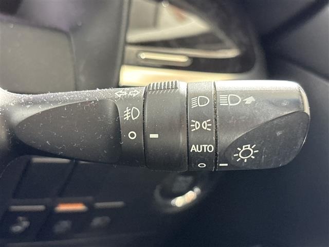Toyota ALPHARD 2019 8597917-9