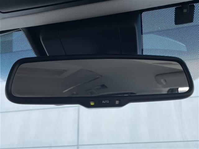Toyota ALPHARD 2019 8597925-23