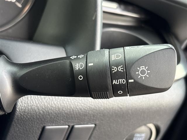 Toyota ALPHARD 2019 8597926-20