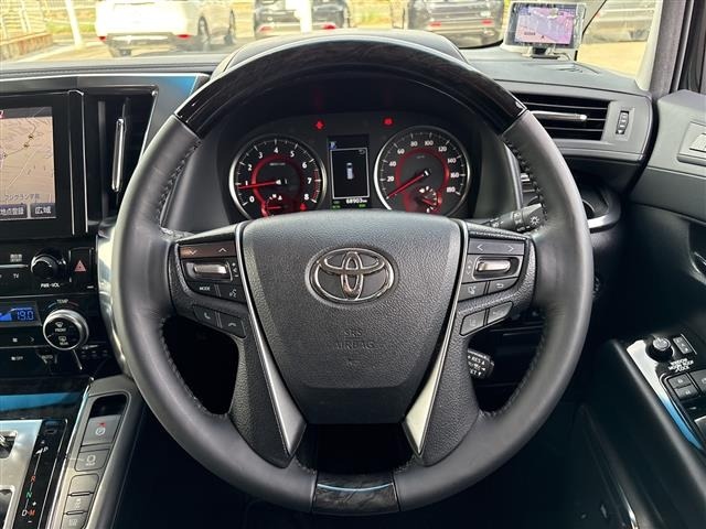 Toyota ALPHARD 2019 8597926-9