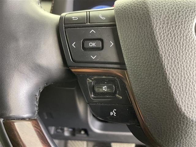 Toyota ALPHARD 2023 8597935-18