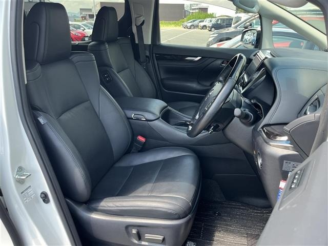 Toyota ALPHARD 2019 8597954-10