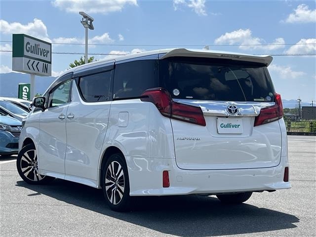 Toyota ALPHARD 2019 8597954-13